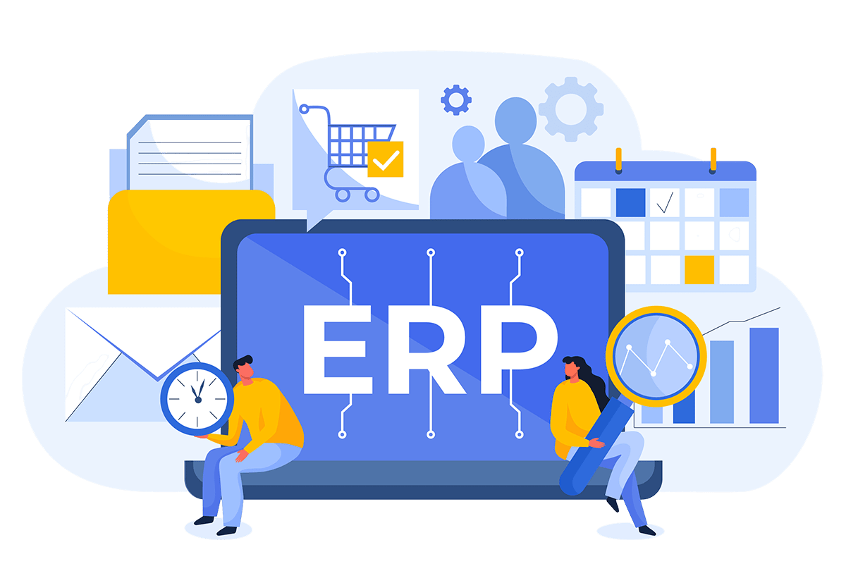 erp consulting